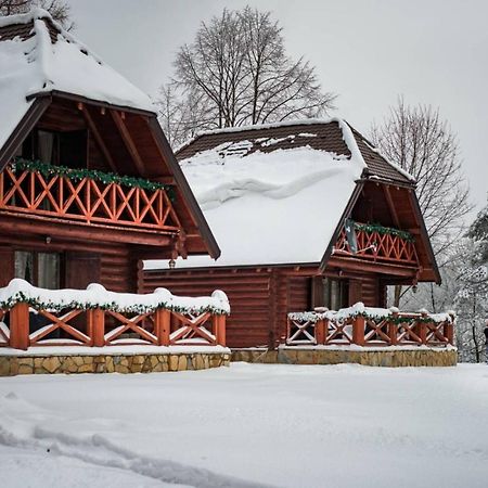 Brvnare Park Borova Villa Zlatibor Exterior photo