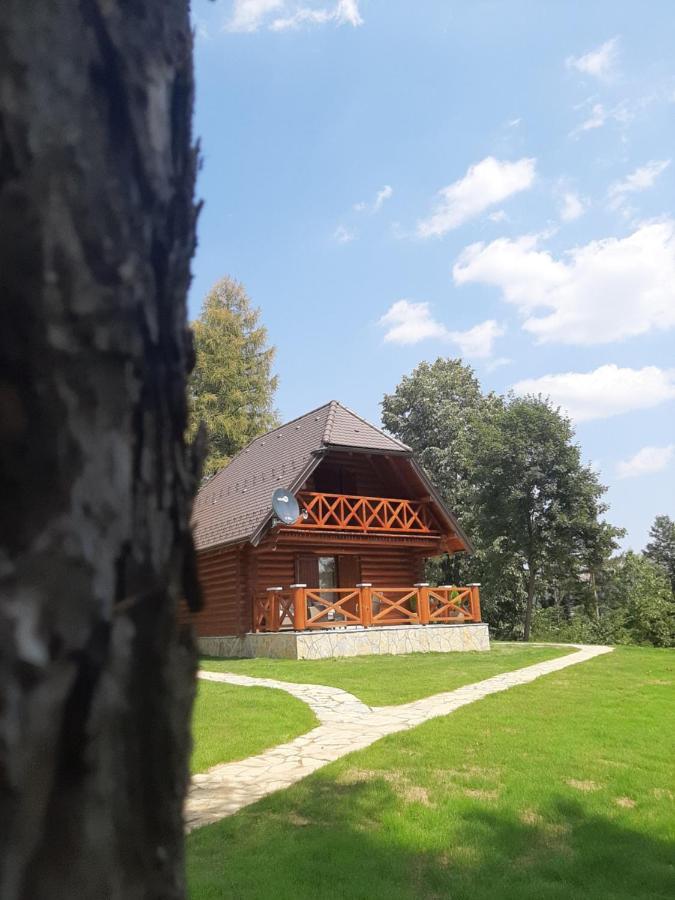Brvnare Park Borova Villa Zlatibor Exterior photo
