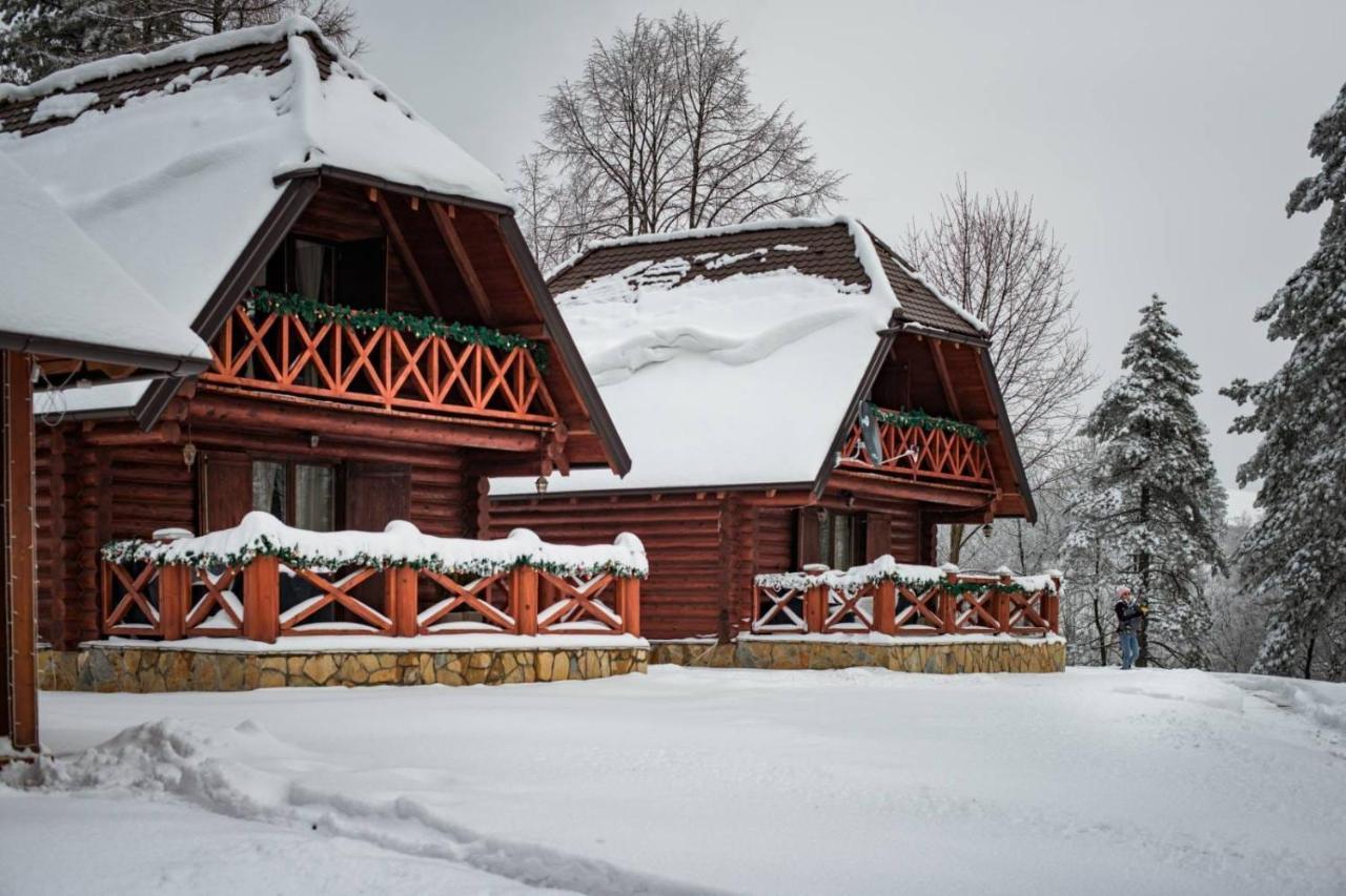 Brvnare Park Borova Villa Zlatibor Exterior photo