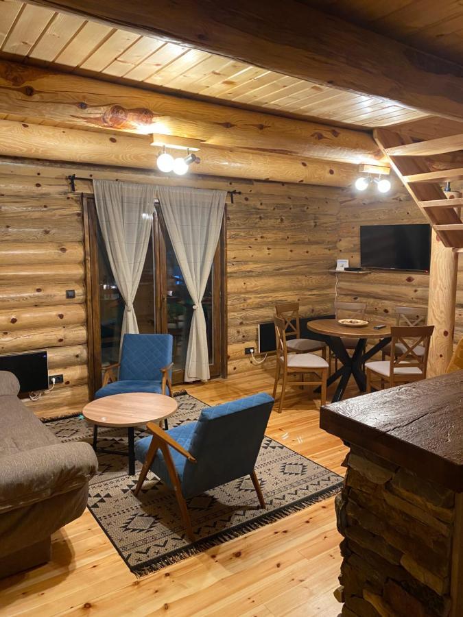 Brvnare Park Borova Villa Zlatibor Exterior photo